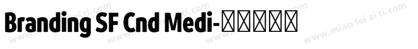 Branding SF Cnd Medi字体转换